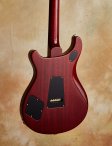 Prs-mccarty-08