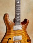 Prs-mccarty-09