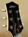 collings-290dc-13