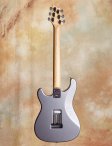 Prs-silversky-03