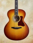 Collings-sjgsb-02