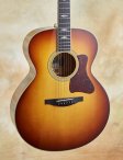 Collings-sjgsb-06