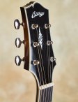 Collings-sjgsb-20