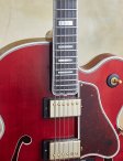 Gibson-byrdland-08