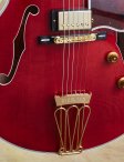 Gibson-byrdland-09