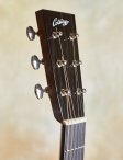 Collings-02hg-18