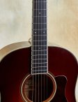 Collings-cj-09