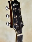 Collings-cj-19