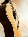 Collings-cj42-baaaa-21  large