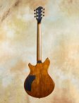 Nicomoffa-armoniaelectricarchtop-03