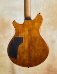 Nicomoffa-armoniaelectricarchtop-04