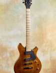 Nicomoffa-armoniaelectricarchtop-05