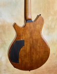 Nicomoffa-armoniaelectricarchtop-08