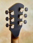 Nicomoffa-armoniaelectricarchtop-21