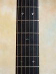 Collings-om2-hg-07