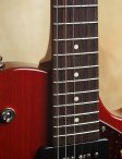 collings-290-003