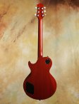 collings-290-006