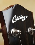 collings-290-011