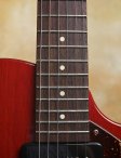 collings-290-017