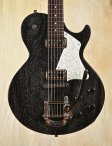 collings290doghair-2