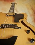 hofner-johnstowell-verythin-19