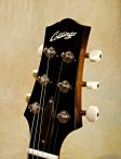 collings-360-19