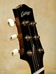 collings-360-20