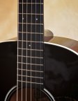 Collings c10 ss sb-04