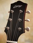 Collings c10 ss sb-10