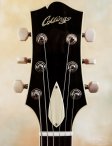 Collings-cldeluxe-ambersb-10