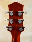 Collings-cldeluxe-ambersb-11