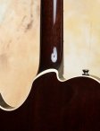 Collings-socodlx-tsb-10