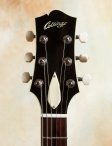 Collings-socodlx-tsb-17