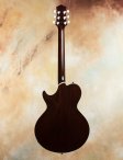 Collings-socodlx-tsb-7