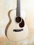 Collings-o2hg-07