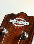 Yanuziello-electric-25