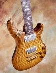 Prs-mccarty594-05