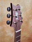 Prs-mccarty594-16